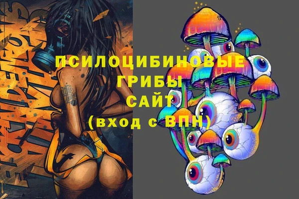 гидра Усолье-Сибирское